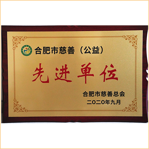 2020合肥慈善公益先進(jìn)單位 